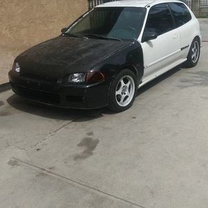 Meet your Posher, Jasper